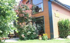 Całoroczny domek z patio